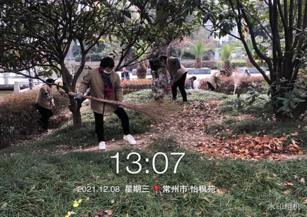 物业清扫落叶忙