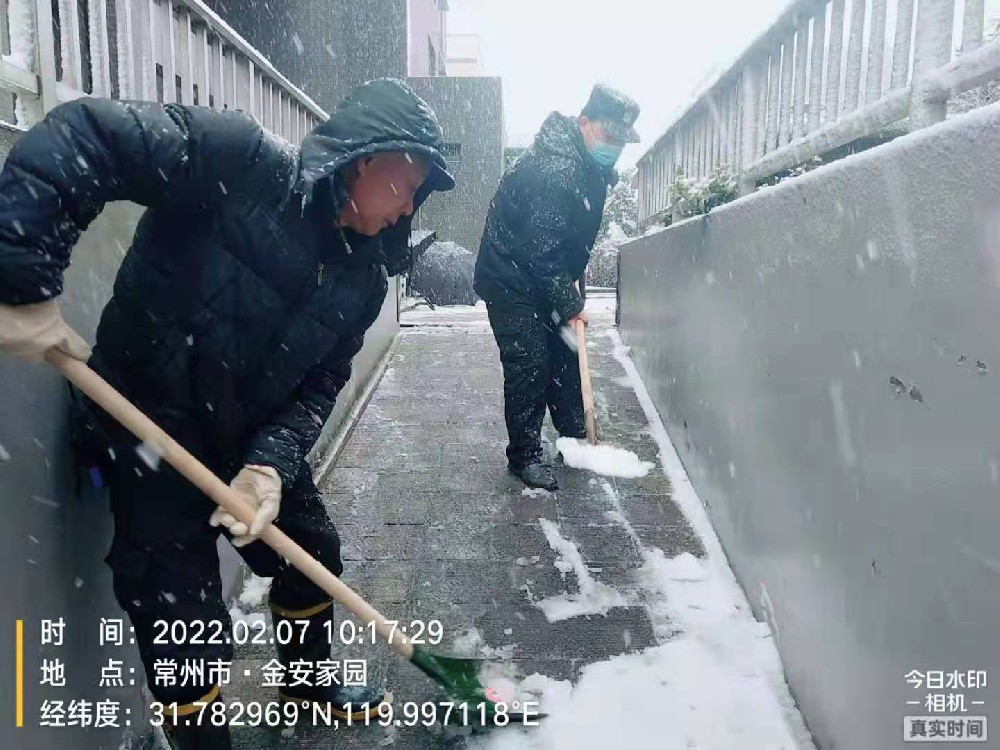 雪中情
