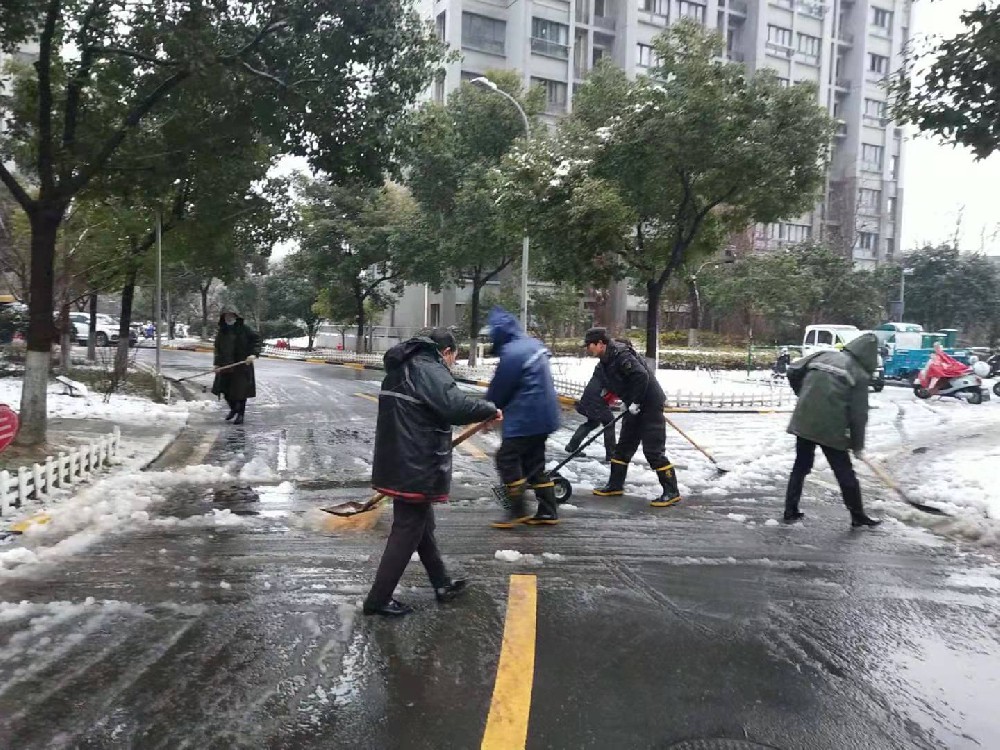 飘落的“雪”忙碌的人