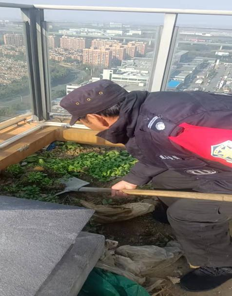 清理楼顶种菜，保持环境整洁