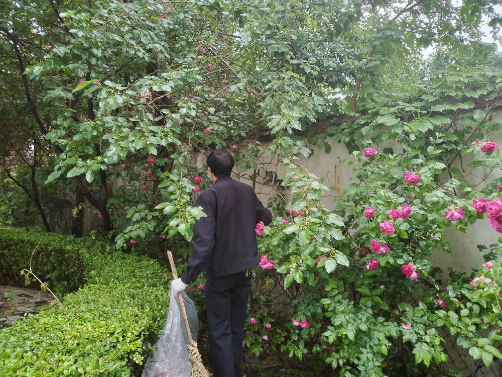 春日里的花香