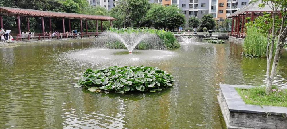 清理垃圾 让景观系更清澈