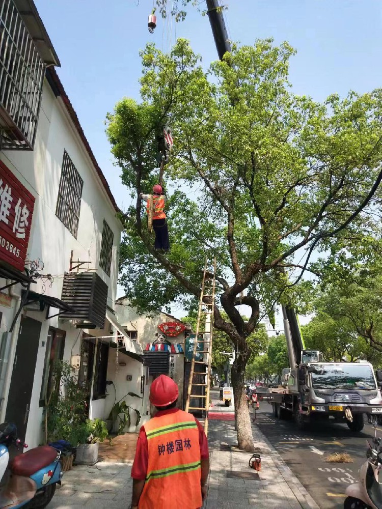 齐心协力 及时消除安全隐患