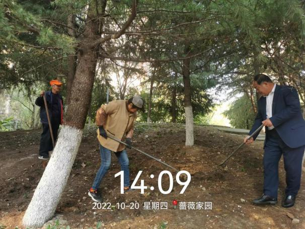 绿化斑秃区域播种忙