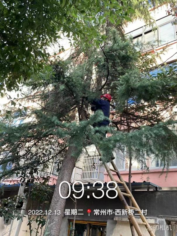 只为来年更“美”
