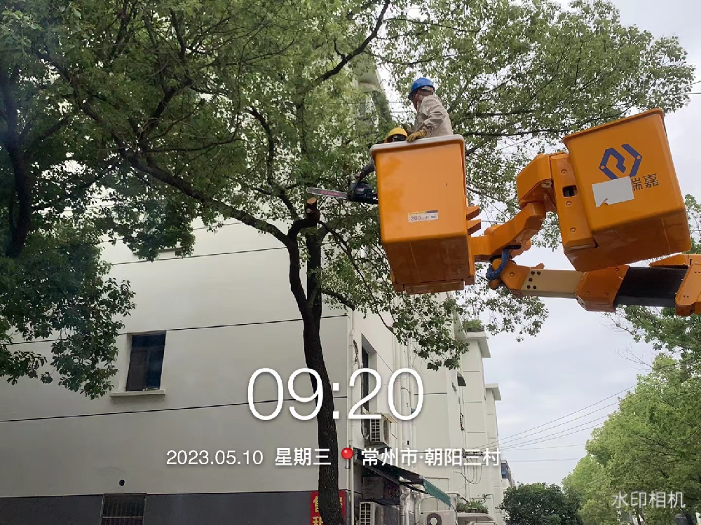 修剪树枝，美化小区
