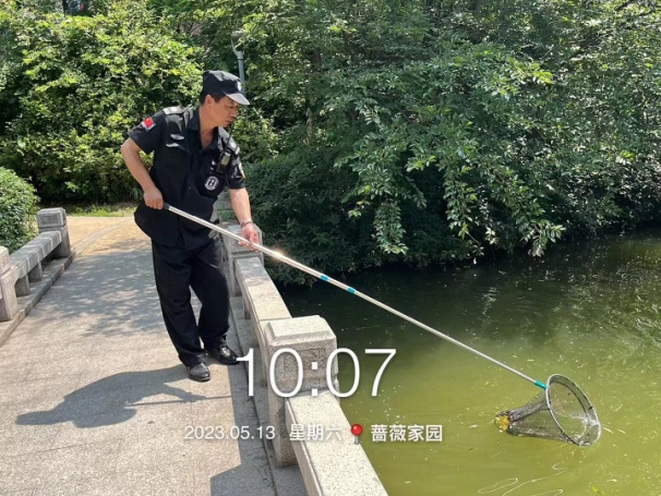 “荷”你相遇，美在当“夏”