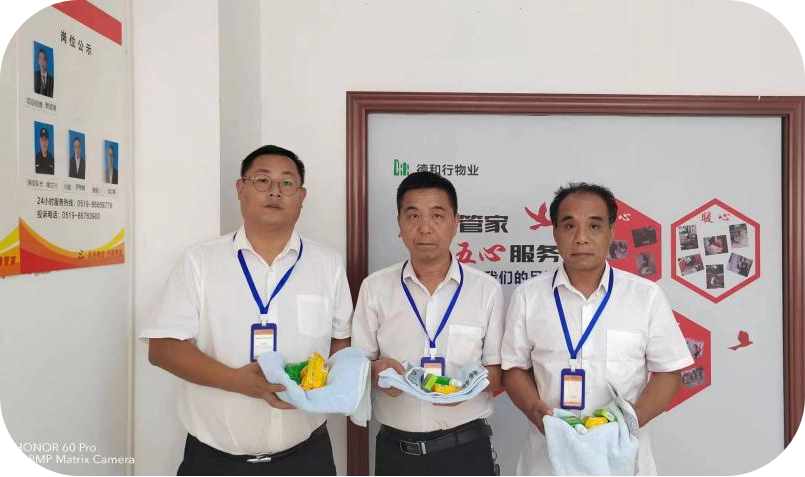 炎炎夏日送清凉，丝丝凉意沁人心