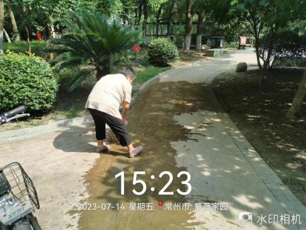 烈日下的蔷薇物业人
