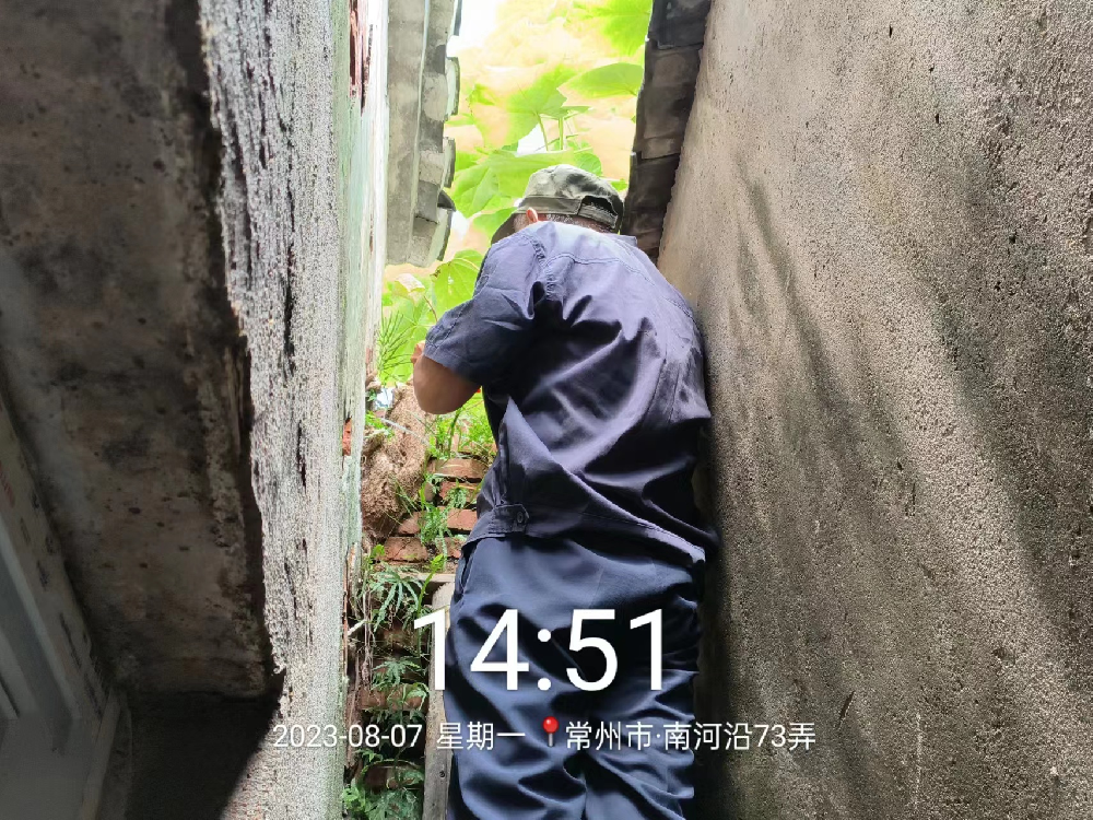 清理墙体杂树 排除安全隐患