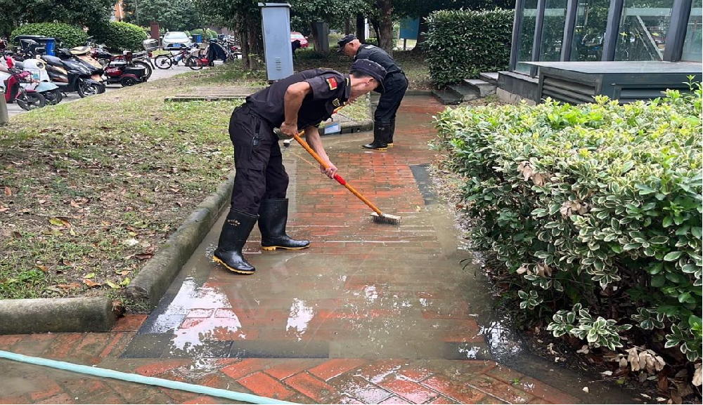 定期清理青苔，让路不再湿滑