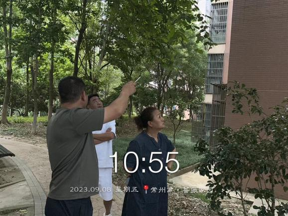 物业再行动  美化小区环境
