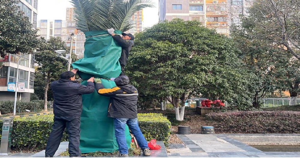 寒潮来袭，温暖守护
