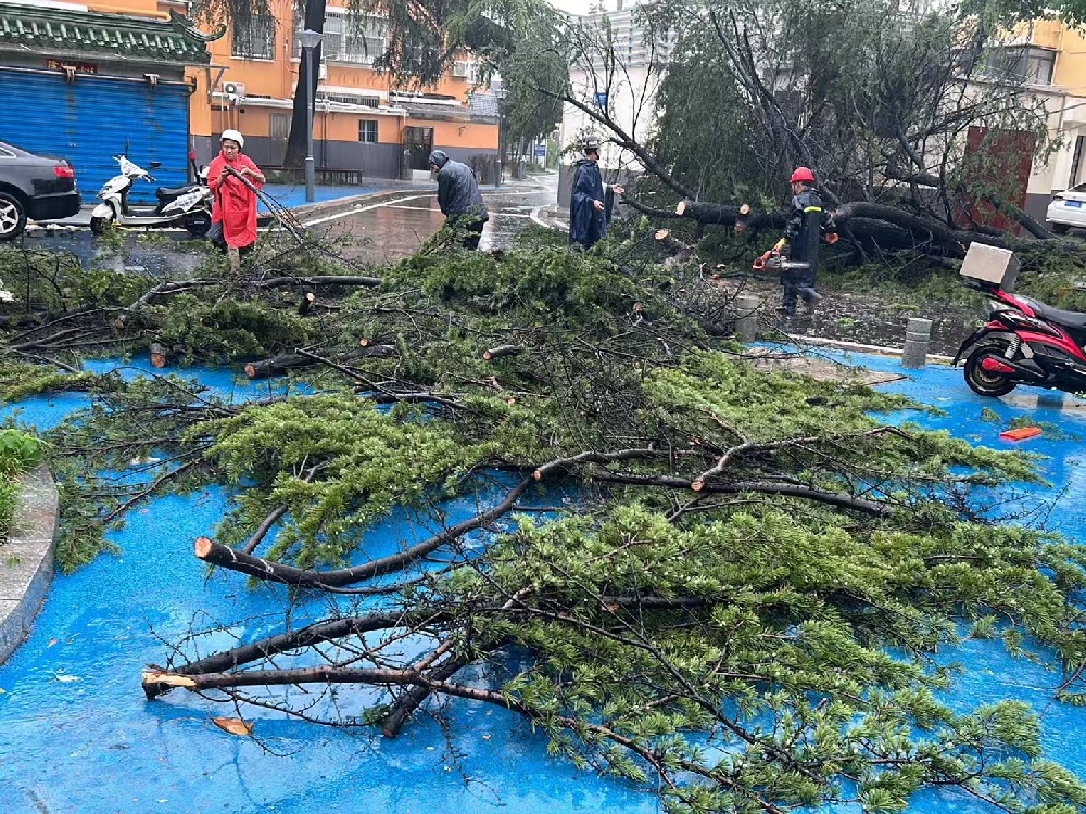 “风”雨同舟，物业抢修战台风