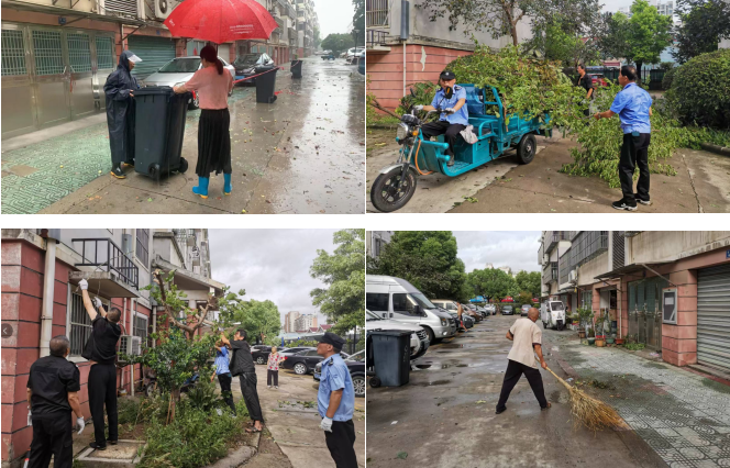 风雨中的坚守