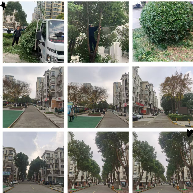 精修剪，优环境 ——小区物业打造绿色舒适家园