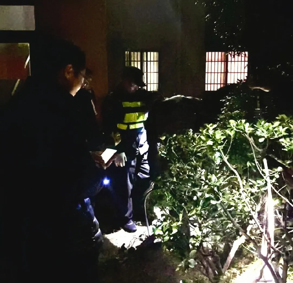 物业携手业委会，速破渗水问题展高效服务