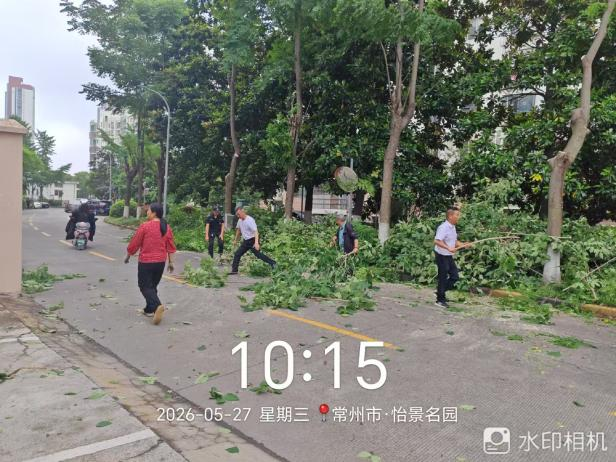 纾解栾树滴油烦心事 精细服务暖民心