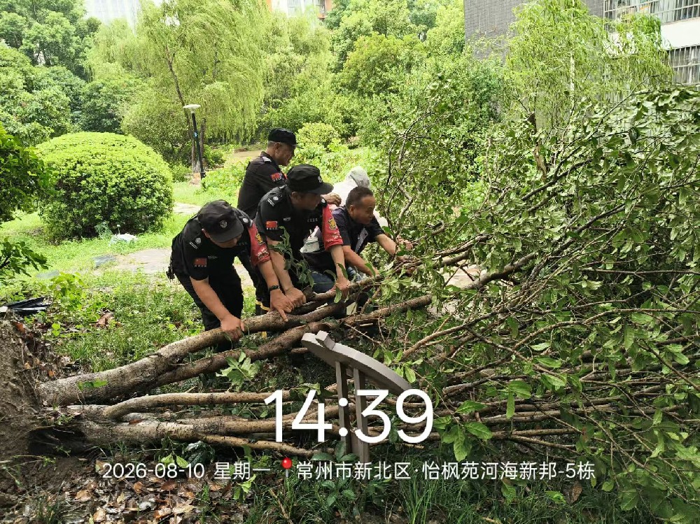 迎战台风“白海豚”系列（一）