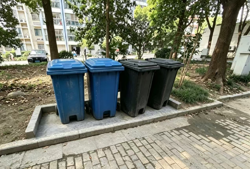 垃圾点位焕新颜，环境整改暖民心